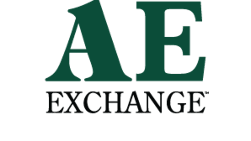 AE EXCHANGE LOGO