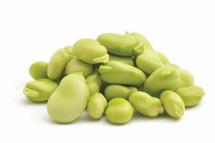 Magic Beans and Giants