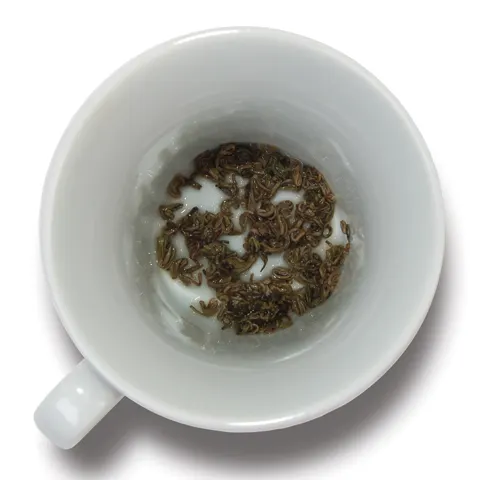 Reading the Tea Leaves