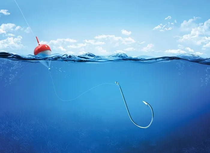 Catch a Fresh Fish