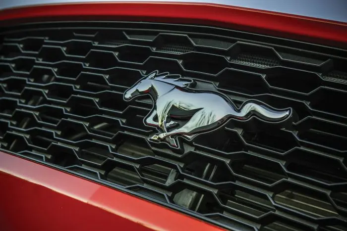 A Faster Horse