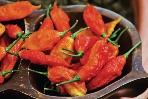 Giving Up The Ghost Pepper