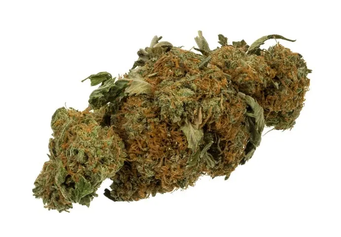 Marijuana Use Still Illegal on Calif. Roads