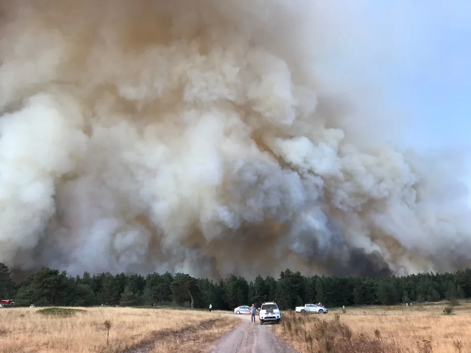 Photo of wildfire smoke against a horizon with several white emergency vehicles parked at the end of a road