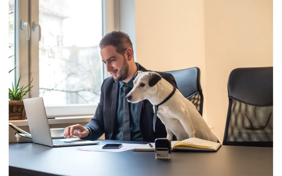 Time to Buy Your F&I Professional a Dog?