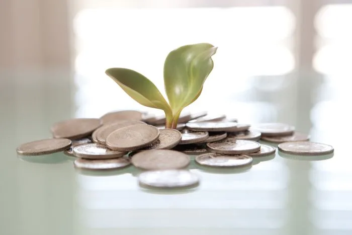 Launching Special Finance: Part Six