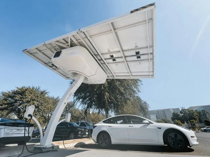 EV Demand Tepid