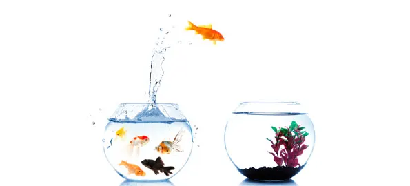 Training, Monitoring and Motivating F&I Managers