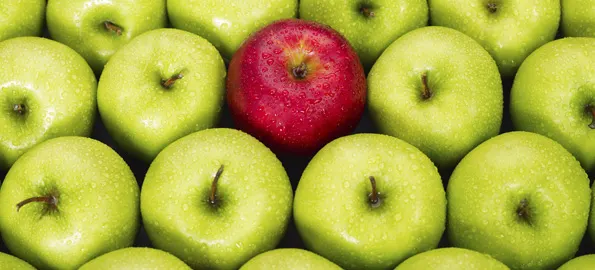 Taking on the Big Boys – Differentiation Part 2