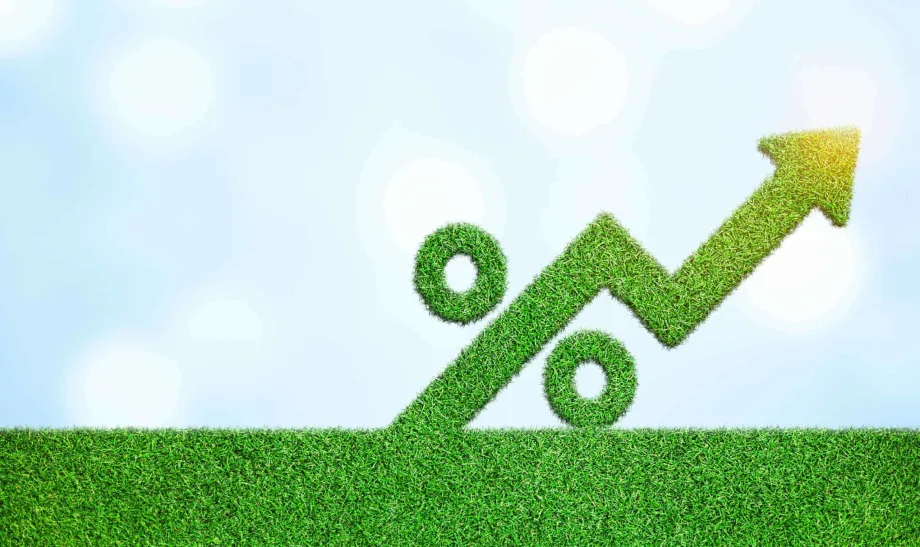 Interest Rates are Steady, But Experts Ponder for How Long