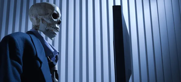 The Shoulder Bone Is Connected to the Back Bone