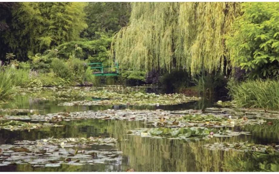 Monet, not Money