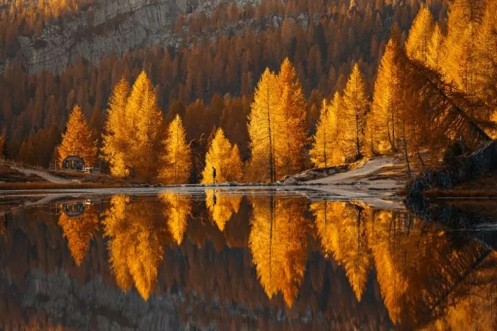 Autumn Analysis