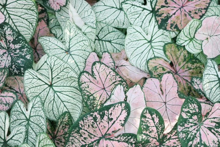 Pattern Power