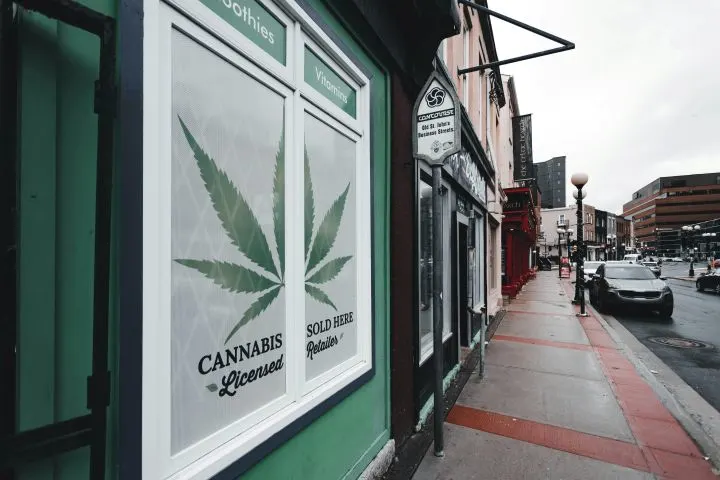 Many Pot Users Blasé About Using and Driving
