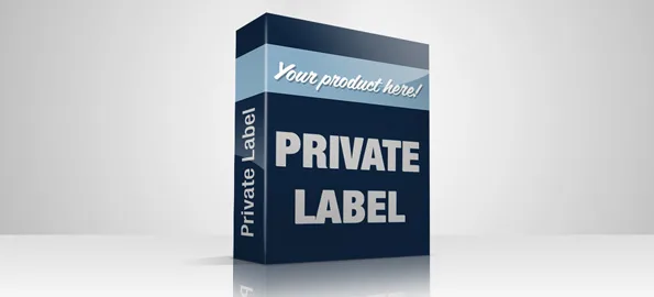 Private Labeling in the Agency: The Key to Dealership Income Development