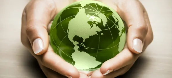 A Closer Look at Eco-Friendly Products